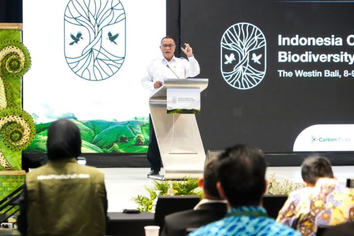 Menteri LH pastikan pasar karbon RI harus berbasis aksi iklim nyata