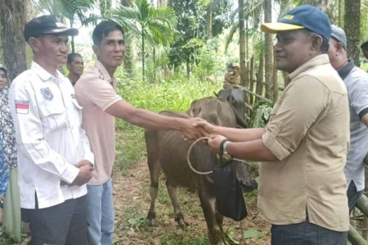 Pemkab Simeulue salurkan bantuan ternak kepada masyarakat
