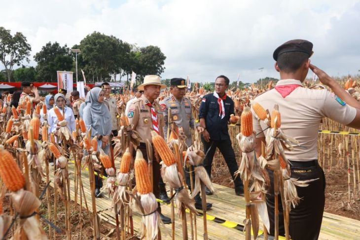 Green Farm Banyuwangi jadi tempat riset-inovasi pertanian modern
