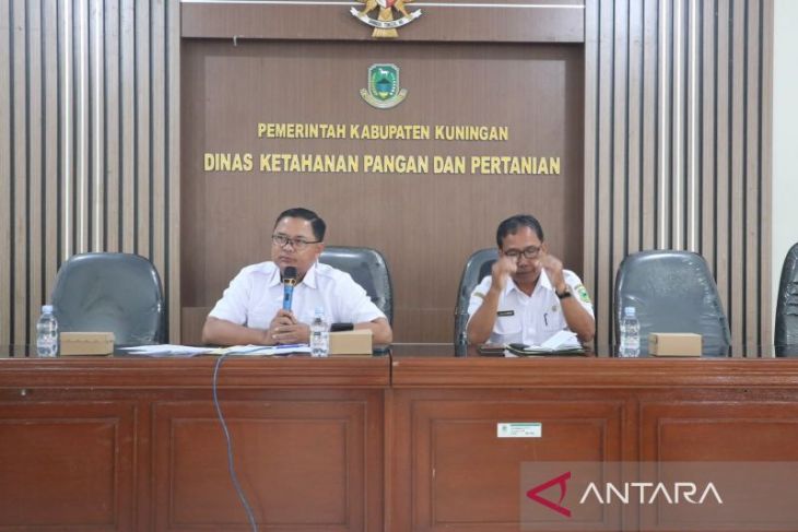 Pemkab Kuningan mengembangkan penanaman kelapa genjah seluas 550 hektare