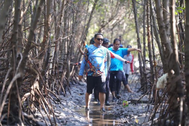 Wali kota Probolinggo dongkrak ekonomi lewat pengembangan ekowisata mangrove