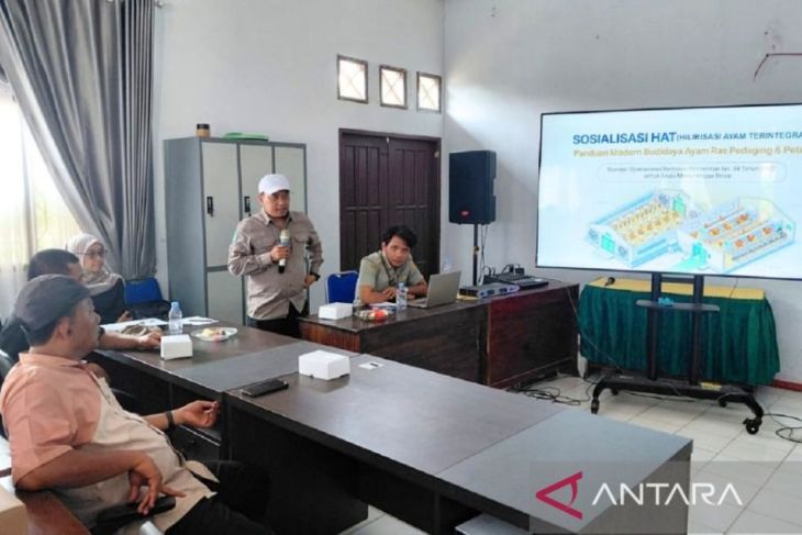 Kaltim arahkan peternak kuasai rantai nilai usaha ayam