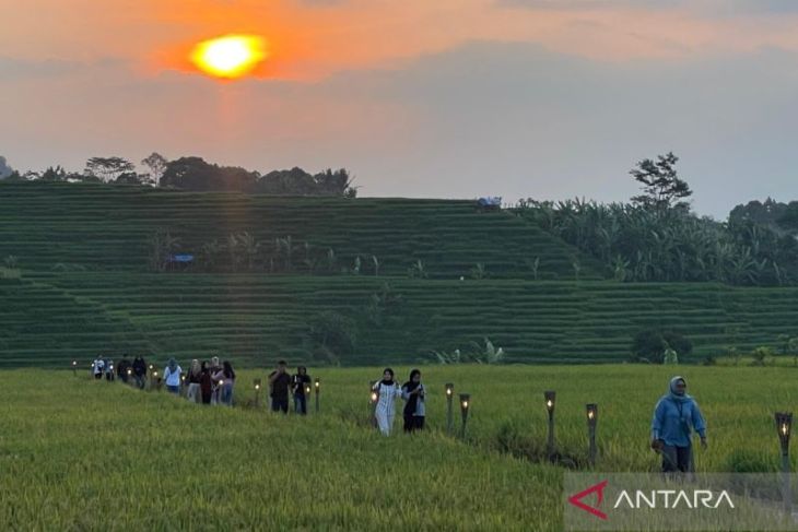 Pemkab Majalengka menetapkan LP2B seluas 40.800 hektare