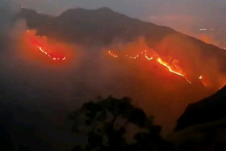 Kawasan Gunung Rinjani terbakar 589 hektare