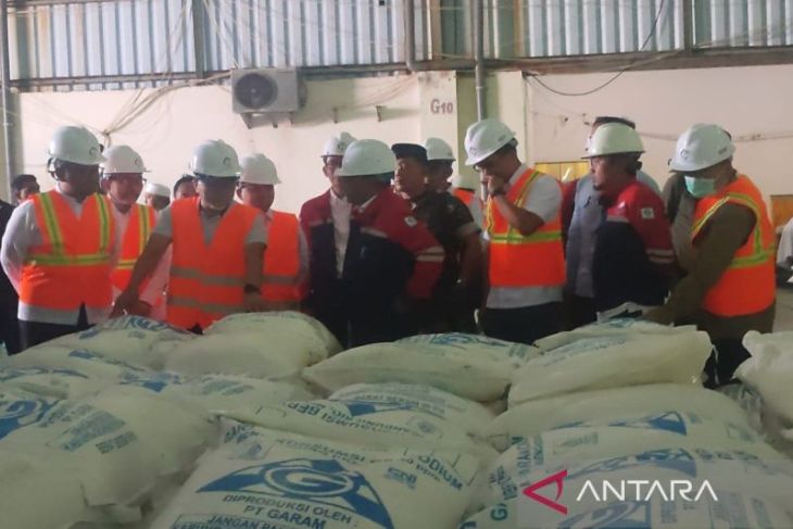 Kementerian investasi fasilitasi pembangunan industri garam di Sampang