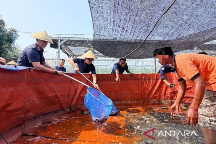 Ditjen Pemasyarakatan Kaltim bina vokasi WBP lewat perkebunan dan perikanan darat