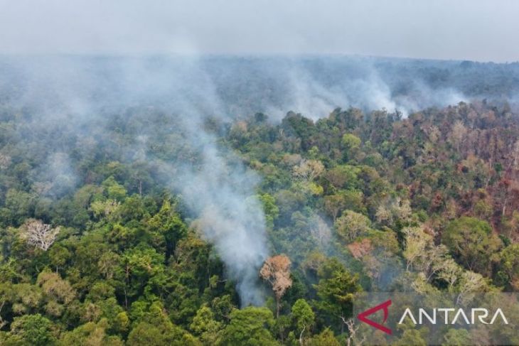 BMKG prediksi kualitas udara Kaimana dan Bintuni sangat tidak sehat