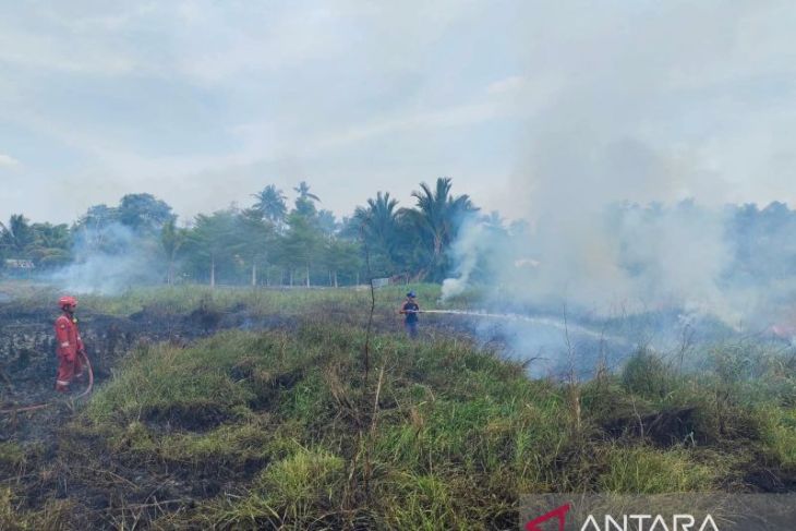 BPBD Belitung padamkan kebakaran lahan di Jalan Air Bulo