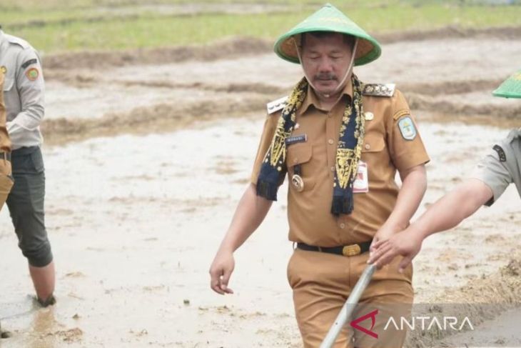 Pemkab Kerinci gencarkan pertanian berbasis teknologi PM-AAS