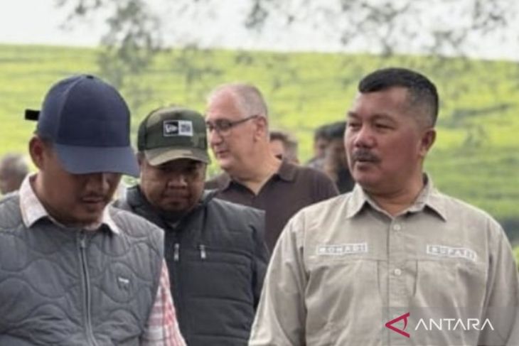 Pemkab Kerinci gandeng investor Eropa naikkan harga kulit manis