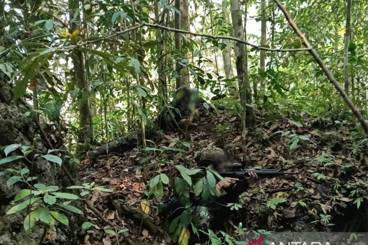 TNI tembak mati tiga anggota OPM saat kontak senjata di Maybrat