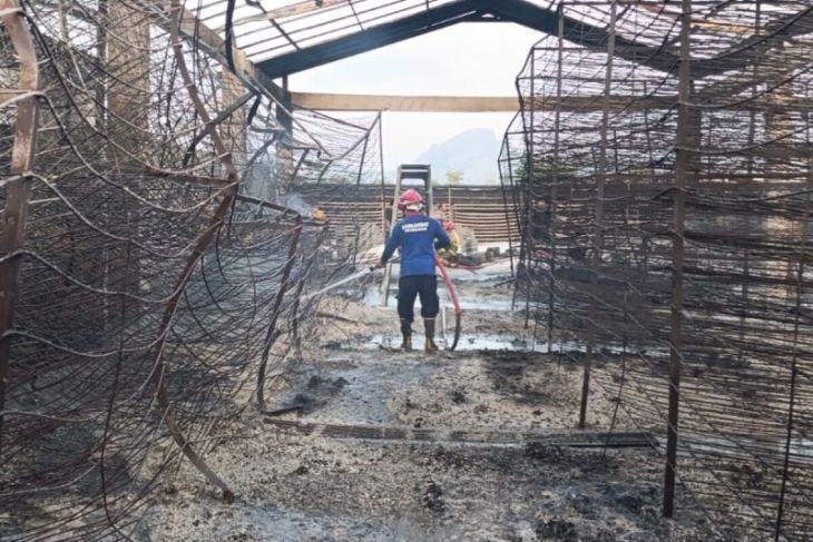 Damkarmat Tulungagung padamkan kebakaran pabrik 'egg-tray'