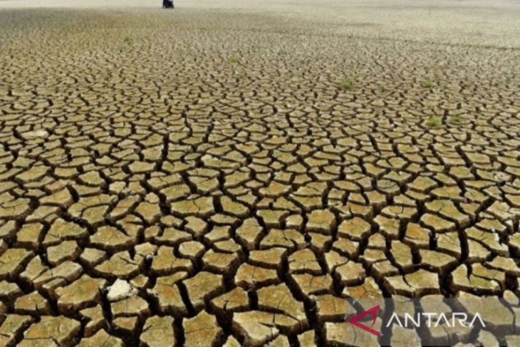 BMKG: Indeks El Nino Kaltim capai 3,44 berintensitas sangat kuat