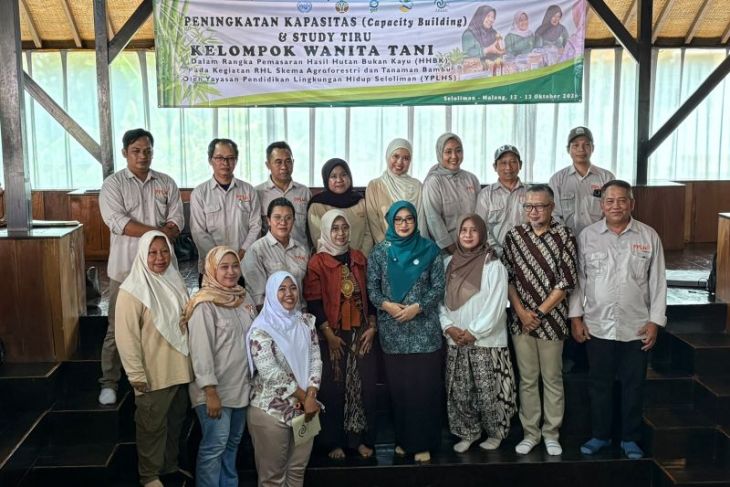 YPLHS perkuat kapasitas kelompok wanita tani pasarkan hasil hutan