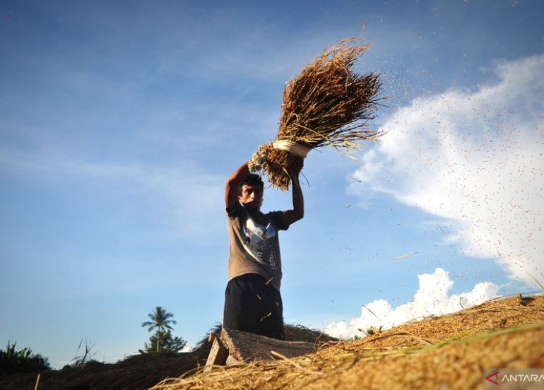 Mengenal Bobibos, bahan bakar dari jerami inovasi anak bangsa