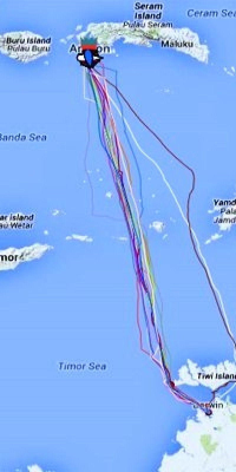 10 Perahu Layar Ikut Sidayr 2018 Antara News Ambon