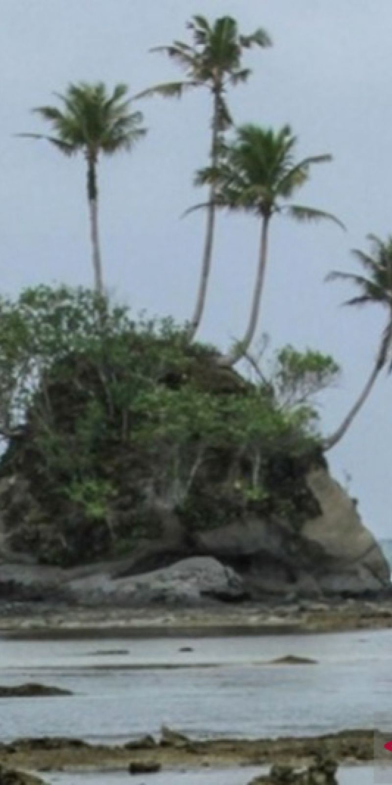 Pulau Sepongebob Jadi Andalan Pariwisata Simeulue Antara News Aceh<script async src=