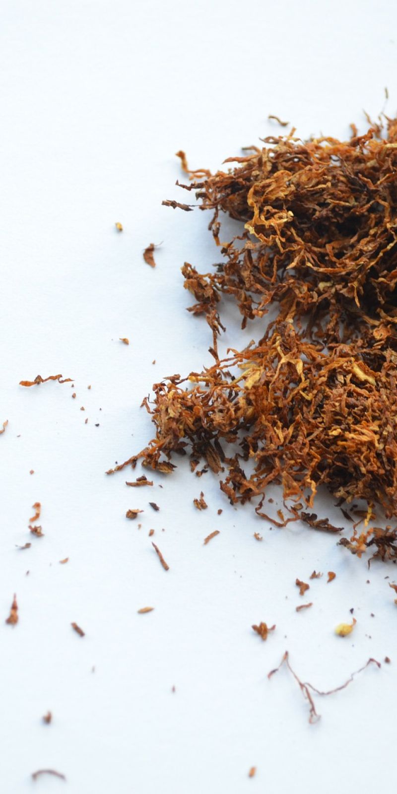 tongan tobacco Fresh Tobacco in Lahore Hookah tobacco is a type of tobacco product which  produces smoke that people inhale when a hookah device is heated. Hookah  tobacco (also known as waterpipe tobacco, maassel )