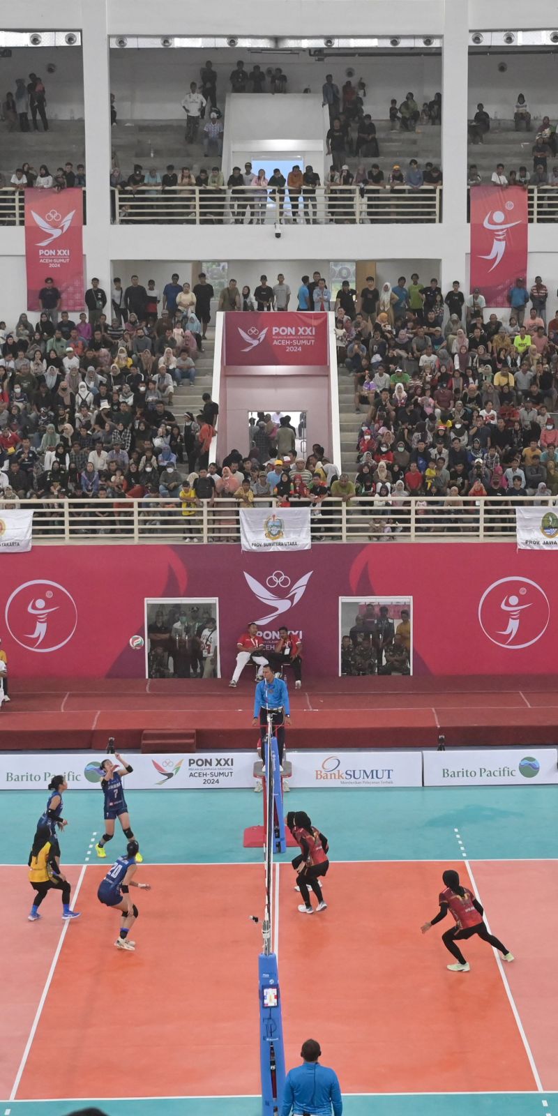 Pornografik filmlar katalogi sp