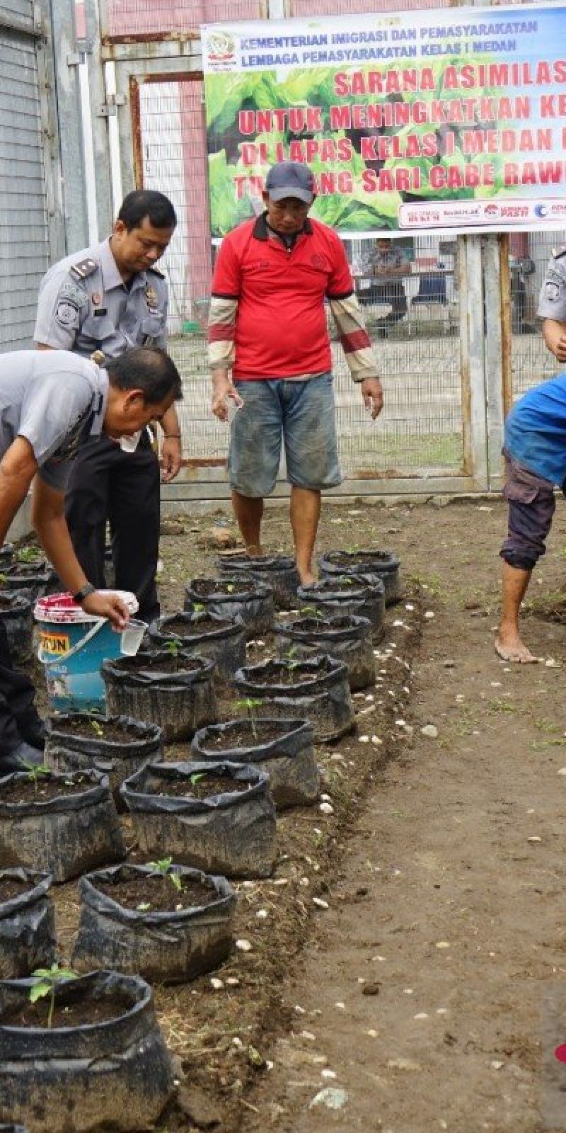 Lapas Medan dukung program ketahanan pangan dengan beri pupuk cair pada tanaman cabai rawit