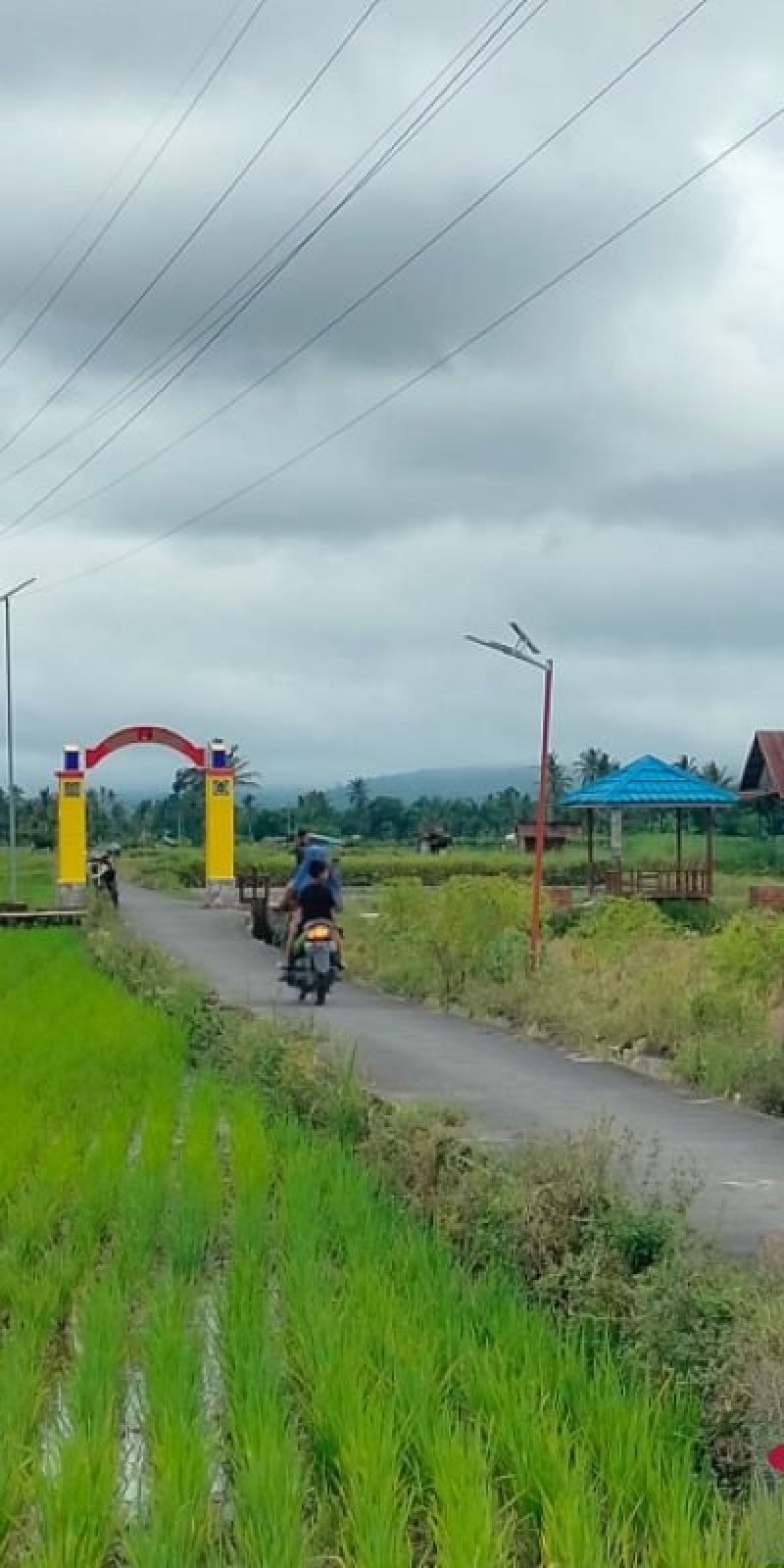 Distankan: Rejang Lebong siap penuhi kebutuhan program makan bergizi
