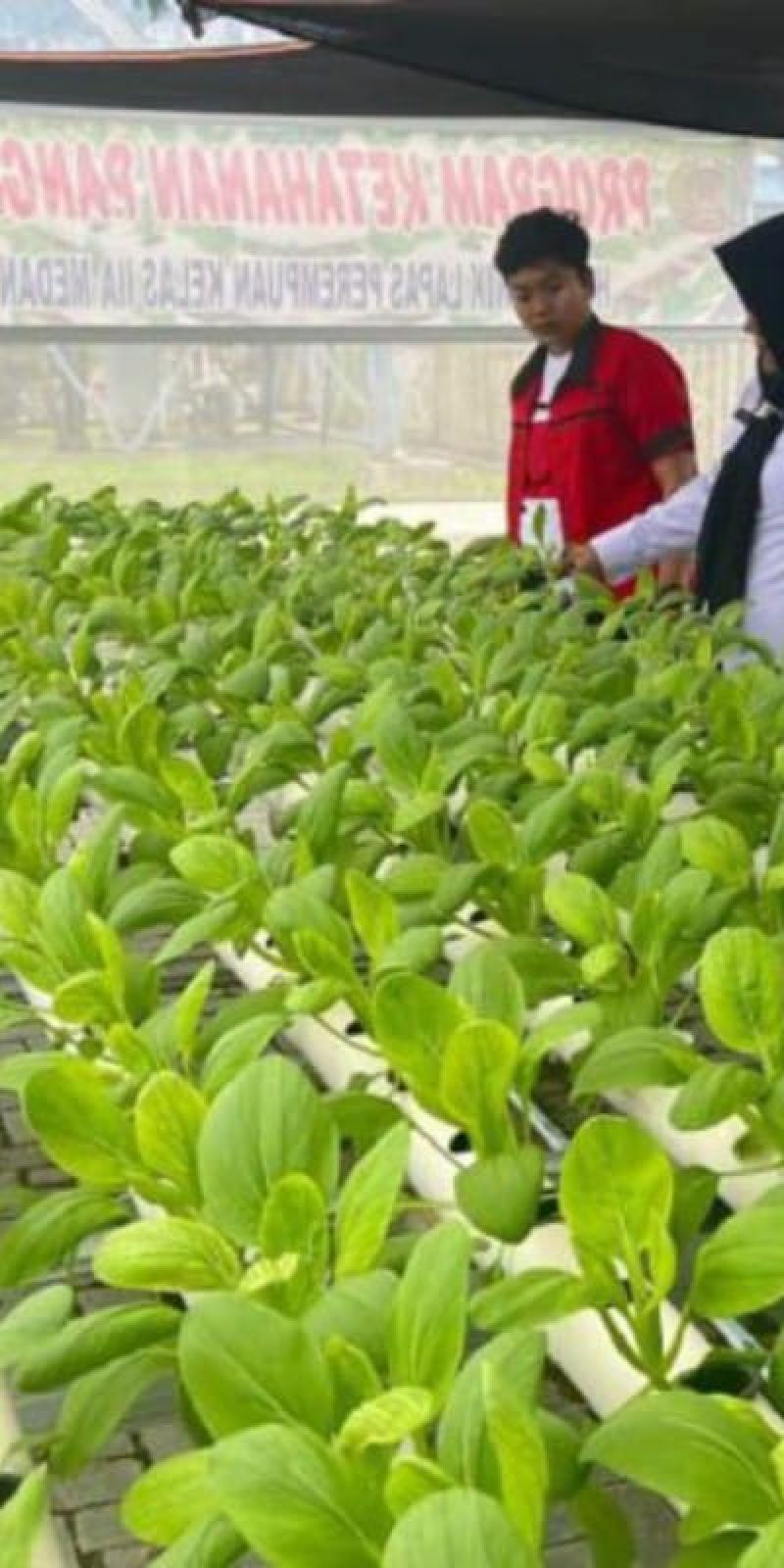 4.248 napi di Sumut terima remisi khusus Natal 2024