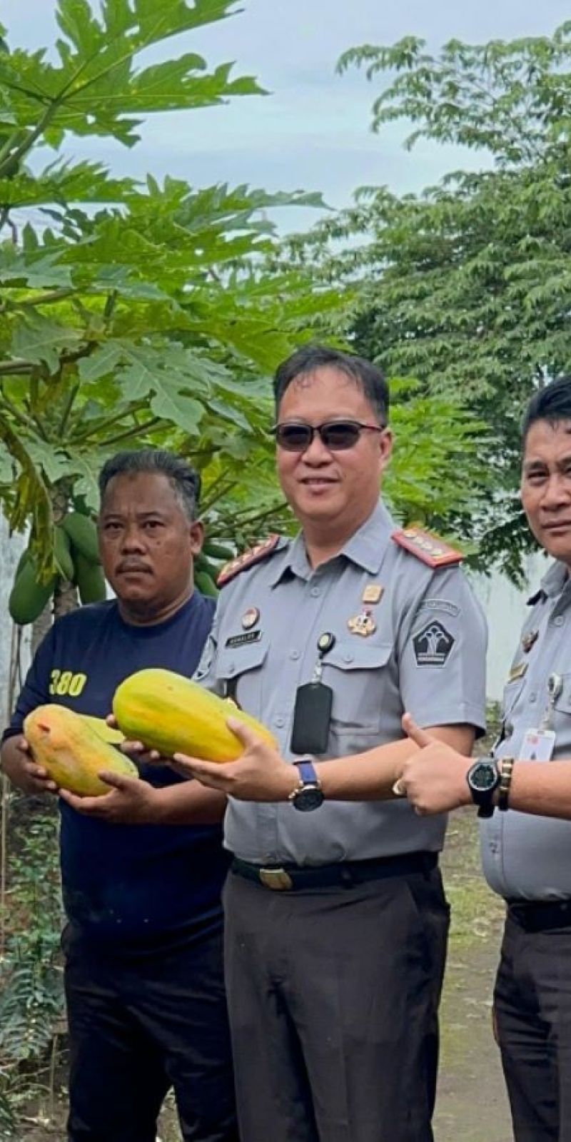 Lapas Curup manfaatkan pekarangan untuk program ketahanan pangan