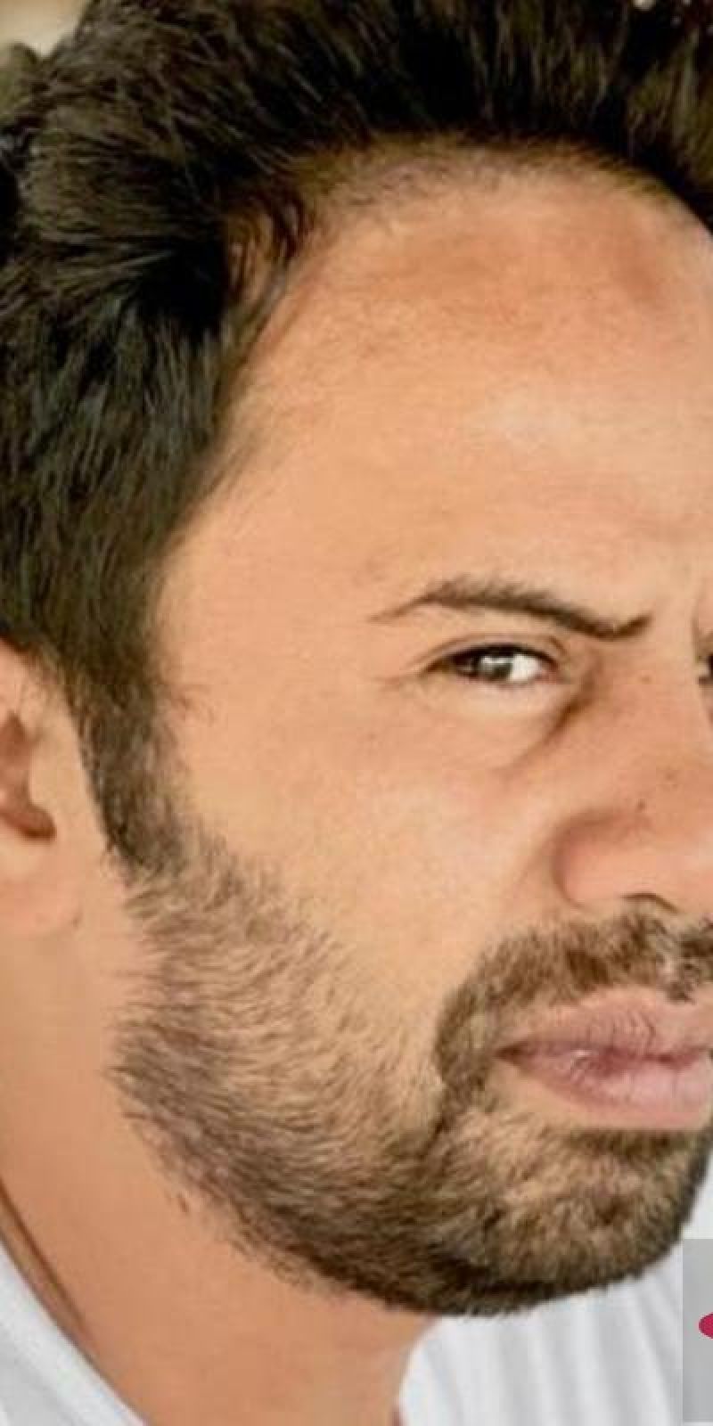 ForBINA minta penegakan hukum konservasi di Aceh tidak tebang pilih