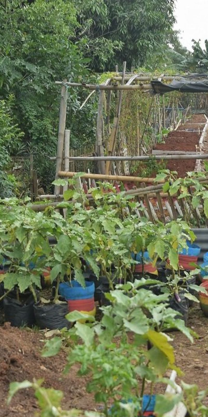 Pemkab Bekasi ambil alih fasos dan fasum perumahan yang ditinggal pengembang