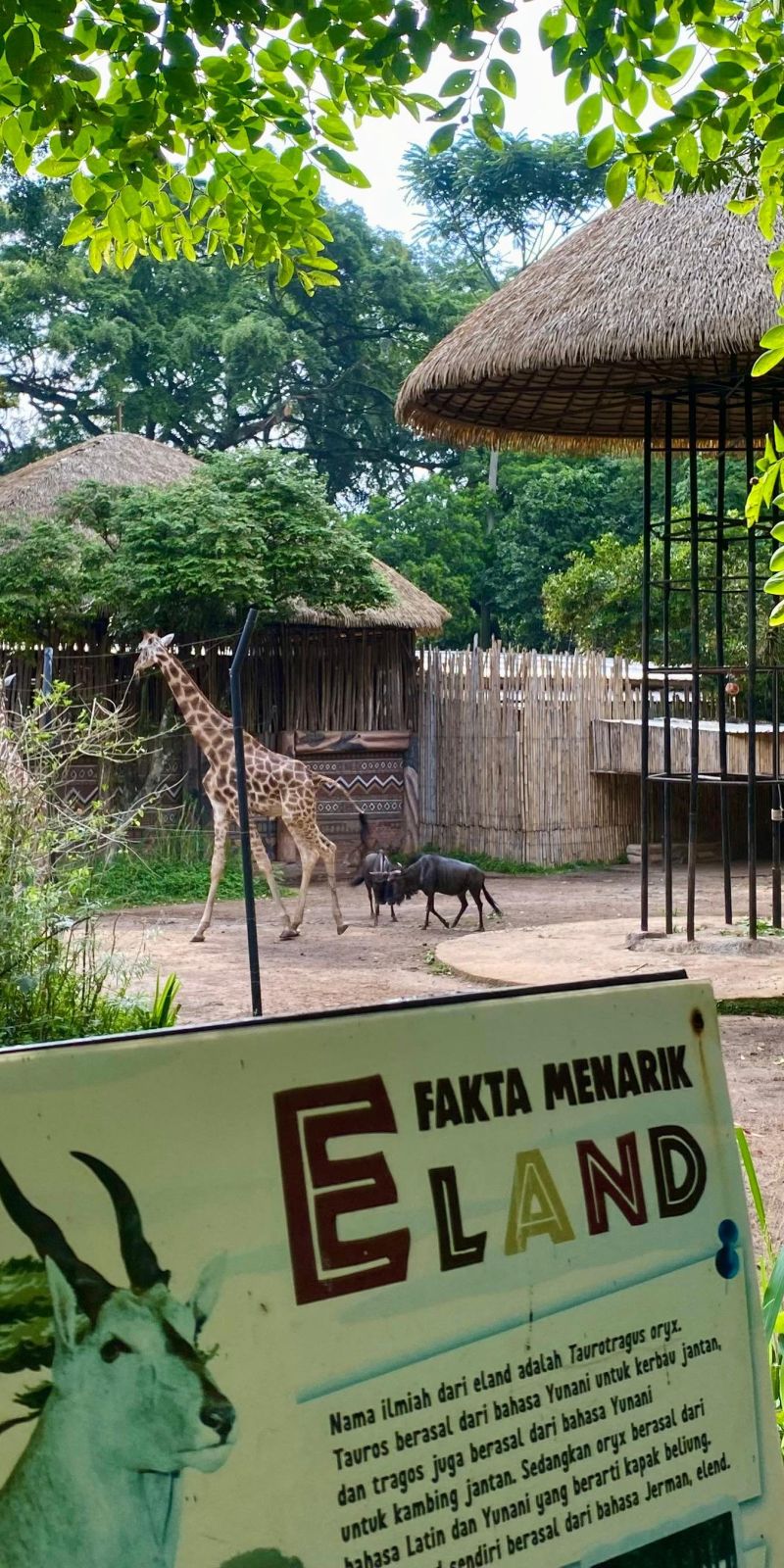 Kuasa Hukum Bandung Zoo sebutkan kliennya korban kriminalisasi