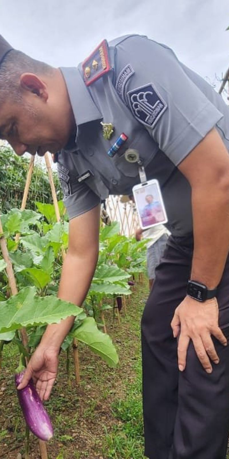 Lapas Pohuwato bagikan hasil panen program kemandirian warga binaan