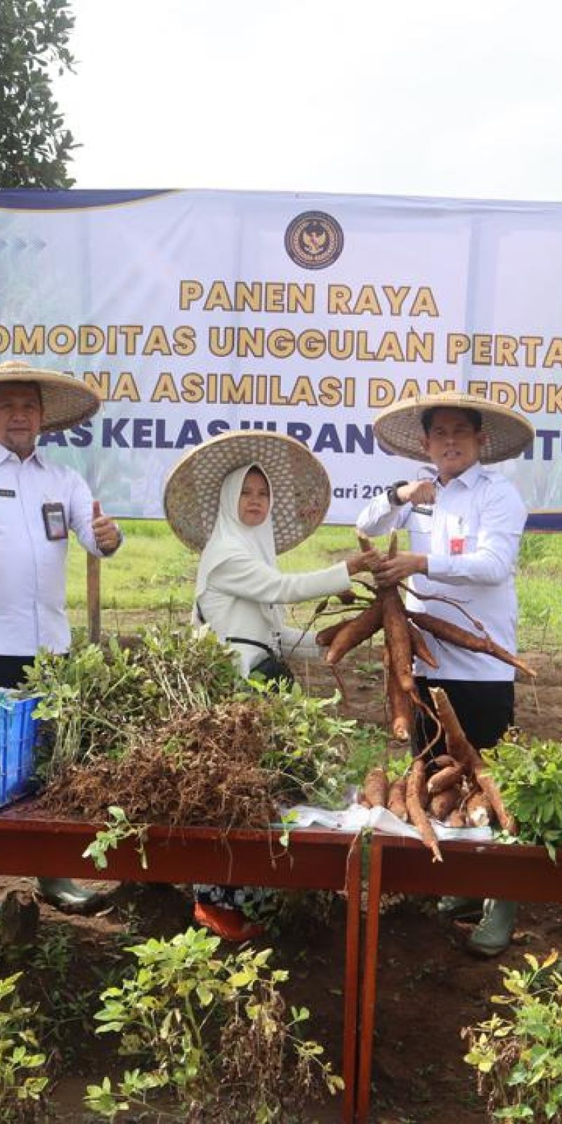 Kakanwil Ditjenpas Banten panen raya di SAE Lapas Rangkasbitung