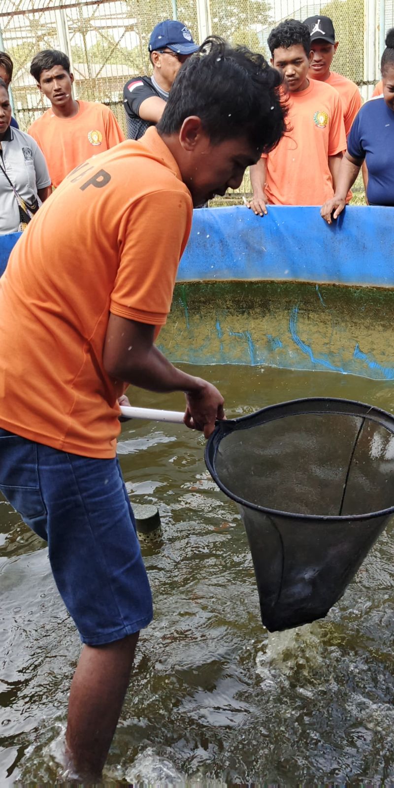 Lapas Timika panen ikan lele hasil budidaya warga binaan