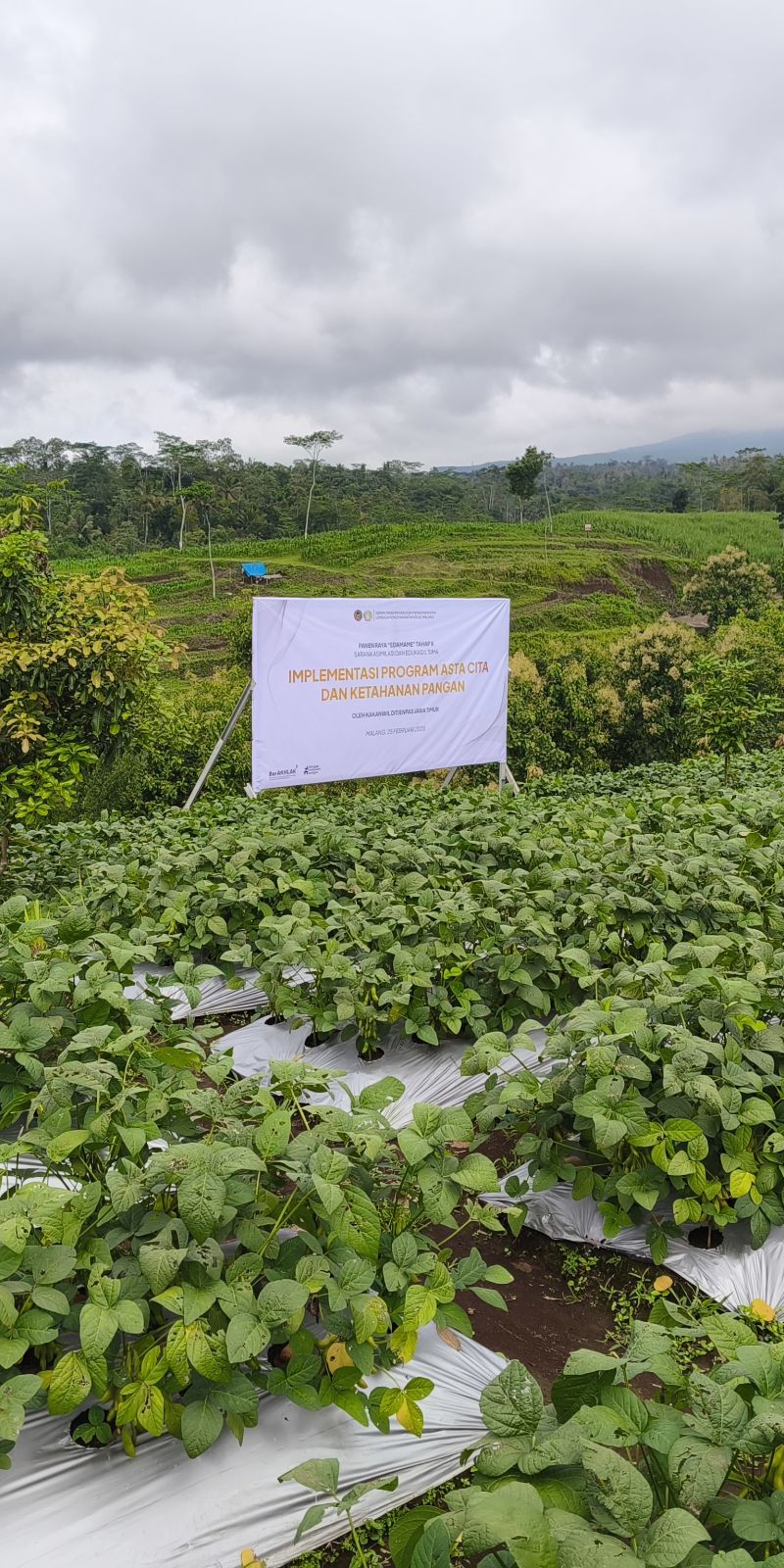 Ditjenpas Jatim: Lapas Kelas I Malang berperan sukseskan ketahanan pangan