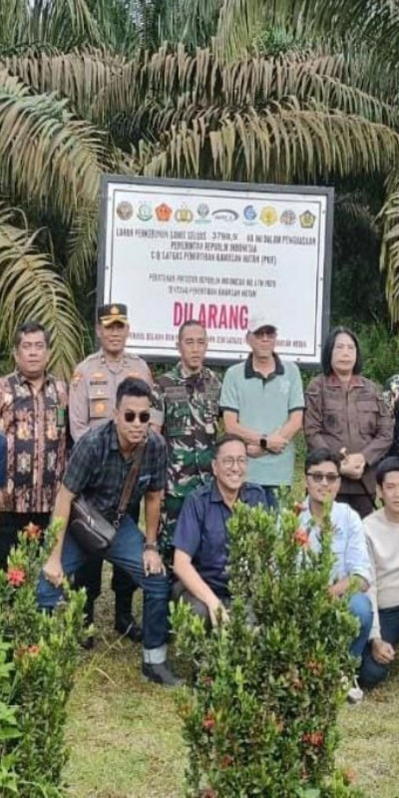 Pakar: Kepastian hukum penting dalam penertiban kawasan hutan sawit