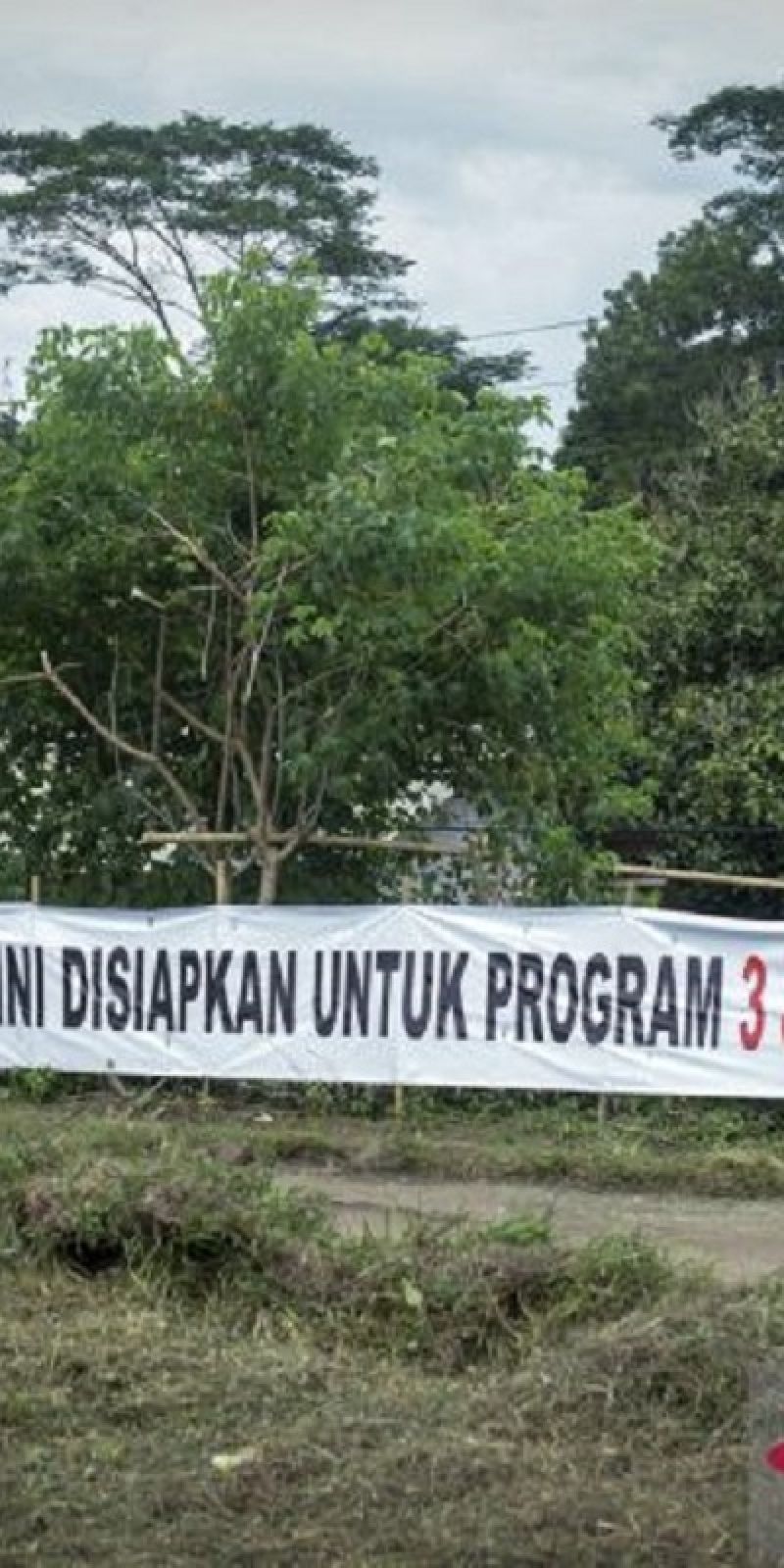 Himperra sebut pengembang belum miliki peran jelas program tiga juta rumah