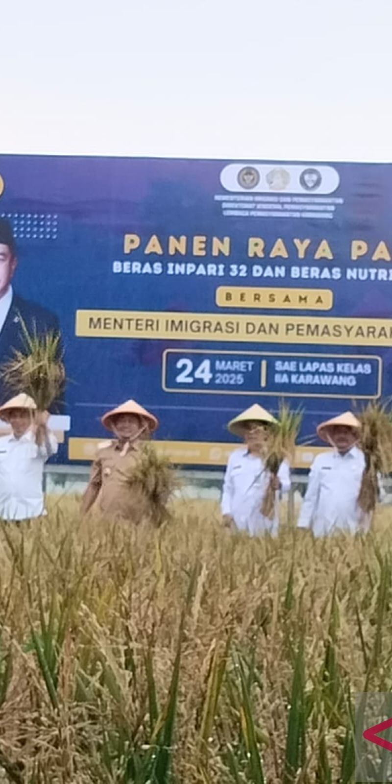 Sekjen Kemenimipas panen raya padi di Lapas Karawang