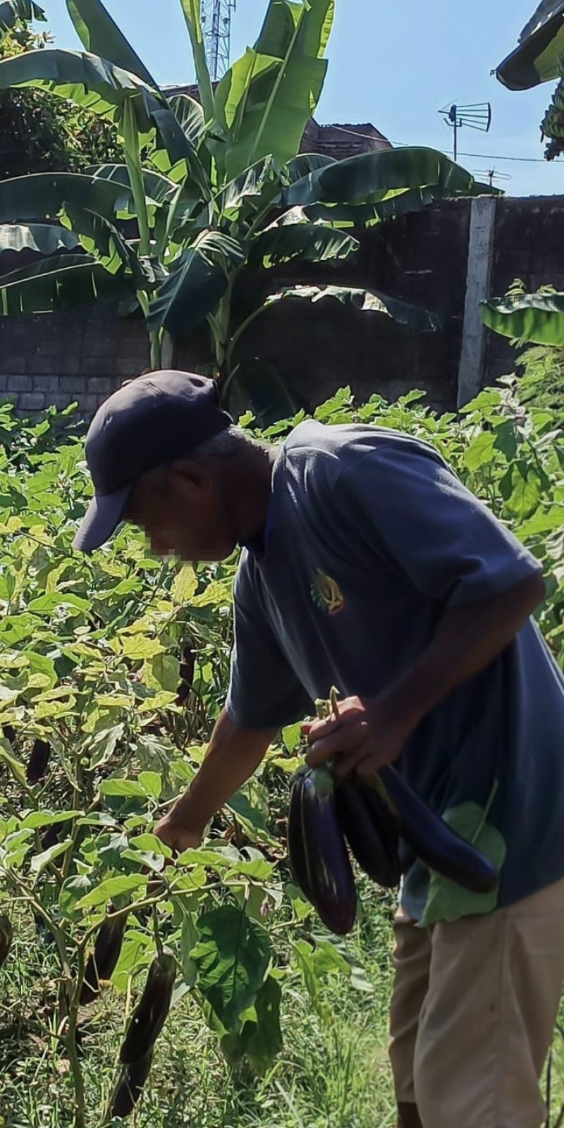 Lapas Kediri manfaatkan pekarangan untuk program ketahanan pangan