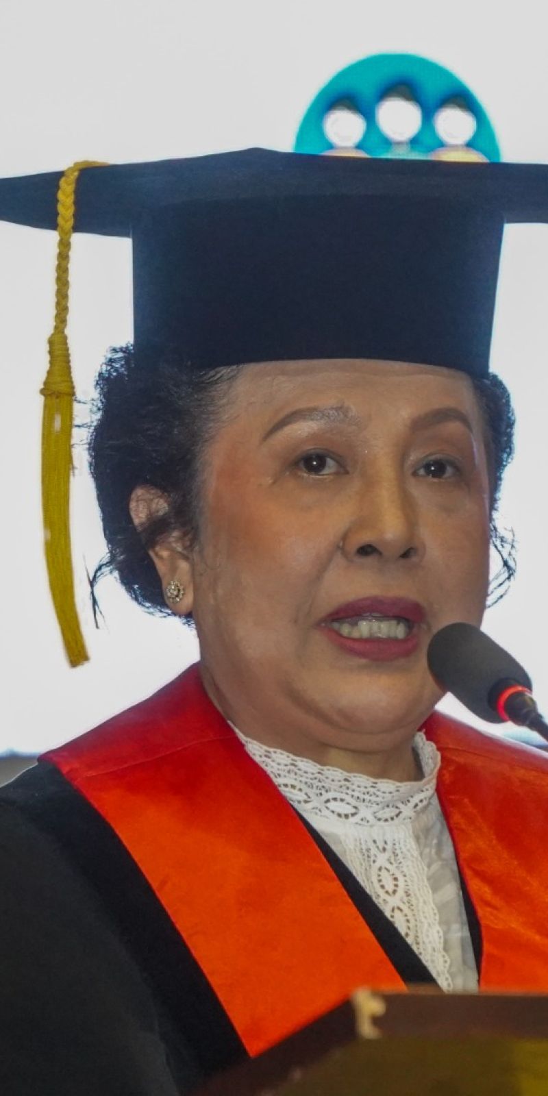 Guru besar FHUI kaji interaksi dan peran hukum di tengah masyarakat