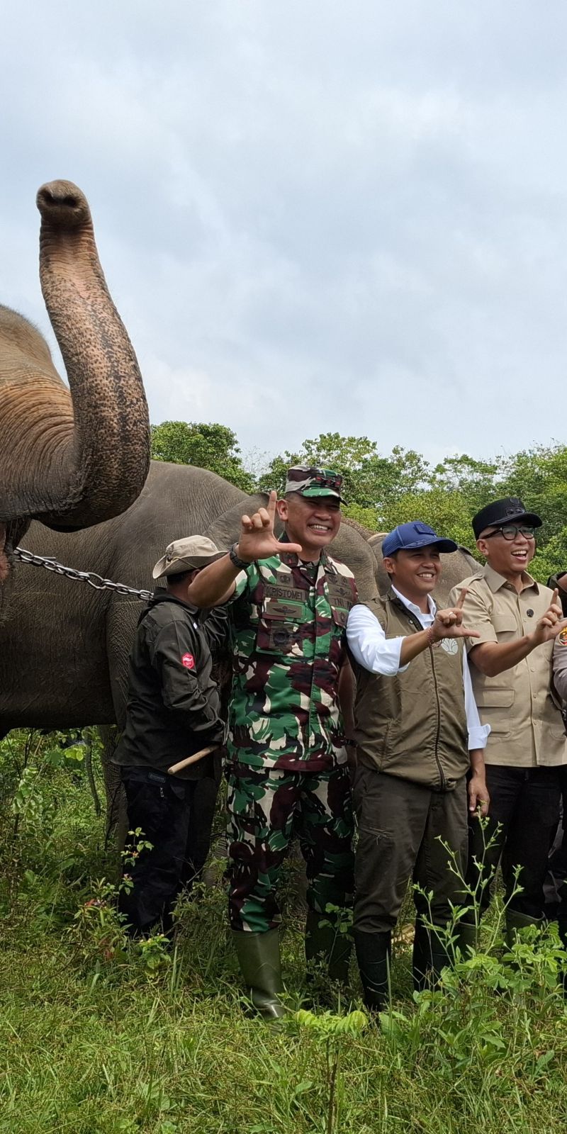 IUCN Appreciates Elephant Conservation Efforts in Indonesia