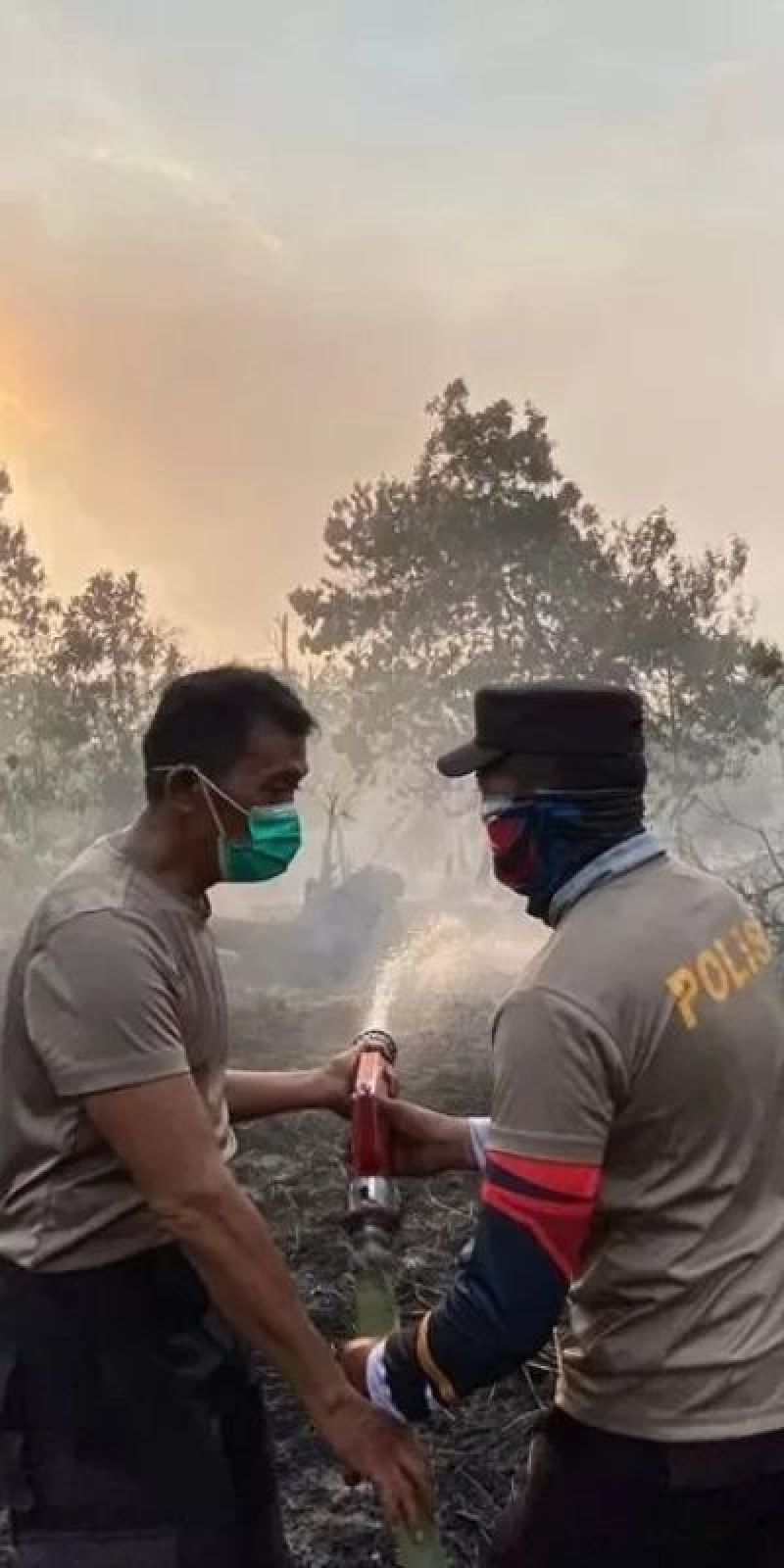 Kubu Raya minta bantuan peralatan pemadam karhutla ke pemerintah pusat -  ANTARA News Kalimantan Barat