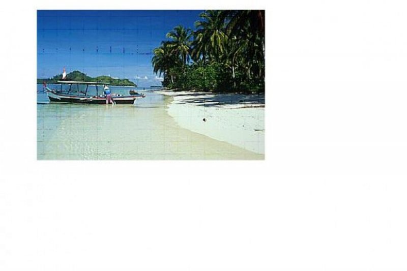 Image Print