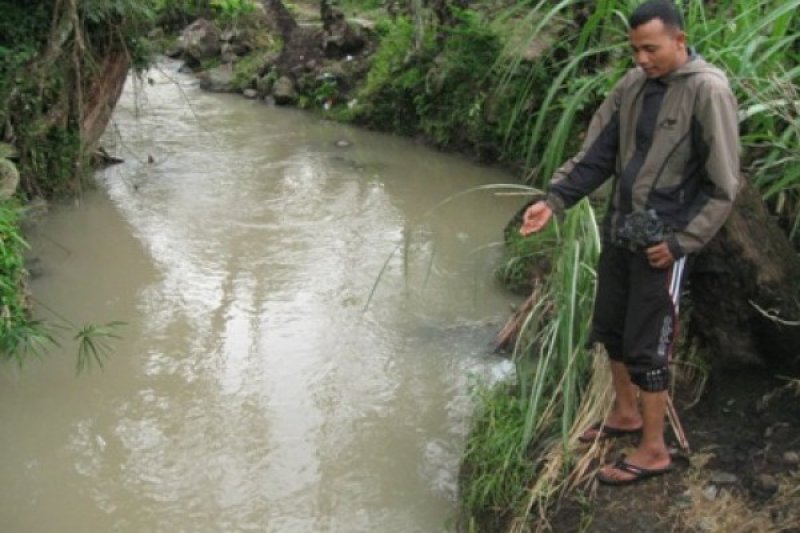 IKAN LARANGAN