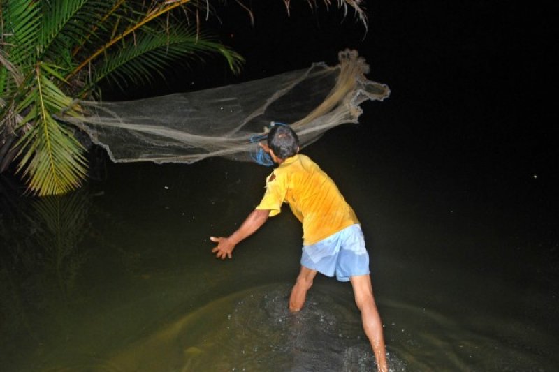 MENJARING UDANG