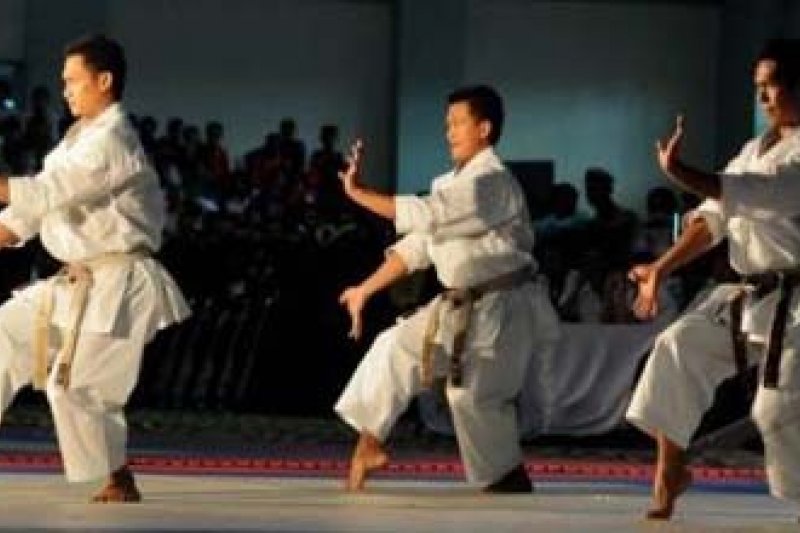 Kejurnas karate