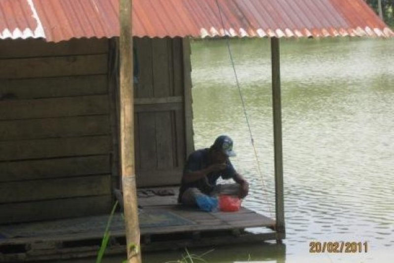 Petani Ikan