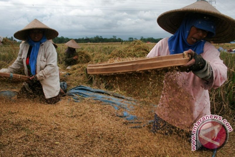 Indonesia Siap Tambah Lumbung Pangan ASEAN - ANTARA News