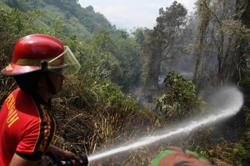 KEBAKARAN SEMAK BELUKAR