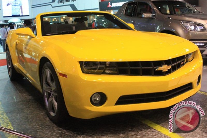 &quot;Bumblebee&quot;  Di IIMS 2011