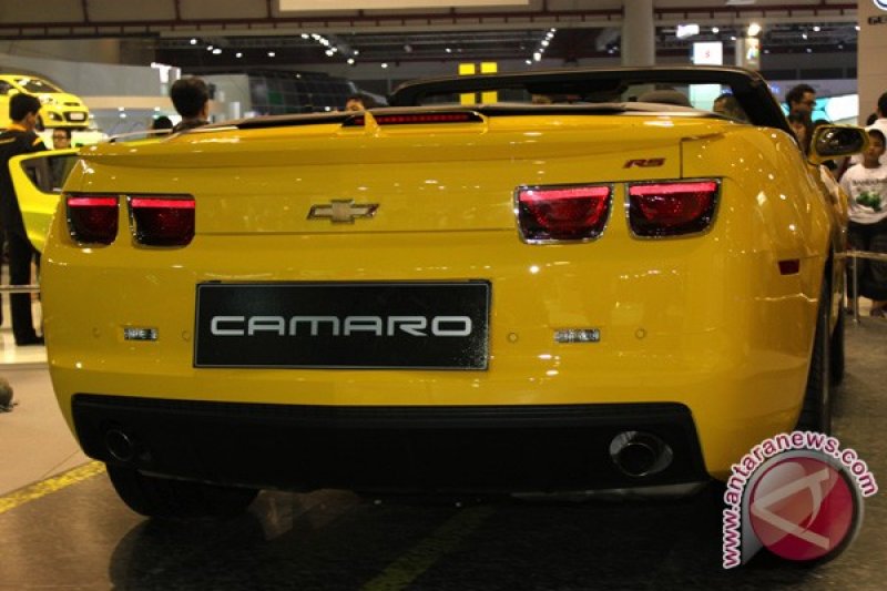 &quot;Bumblebee&quot;  Di IIMS 2011